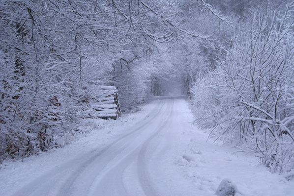 Snö i Skåne 12 feb 2009