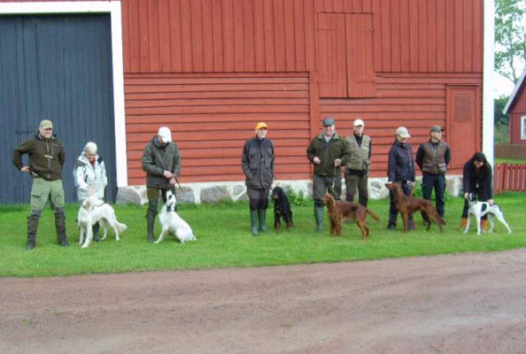 Pimen´s Birka ÖKL vinst Bäckaskog 2012