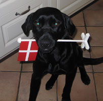 Jussi 1 år