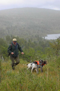 Richard på fjället med Black Luckys Becky, Tjoes Assi, Pimen´s Olga