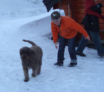 Biffen & Oscar vid Tärna Vilt